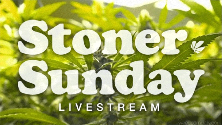 Stoner Sunday on top of cannabis leaves