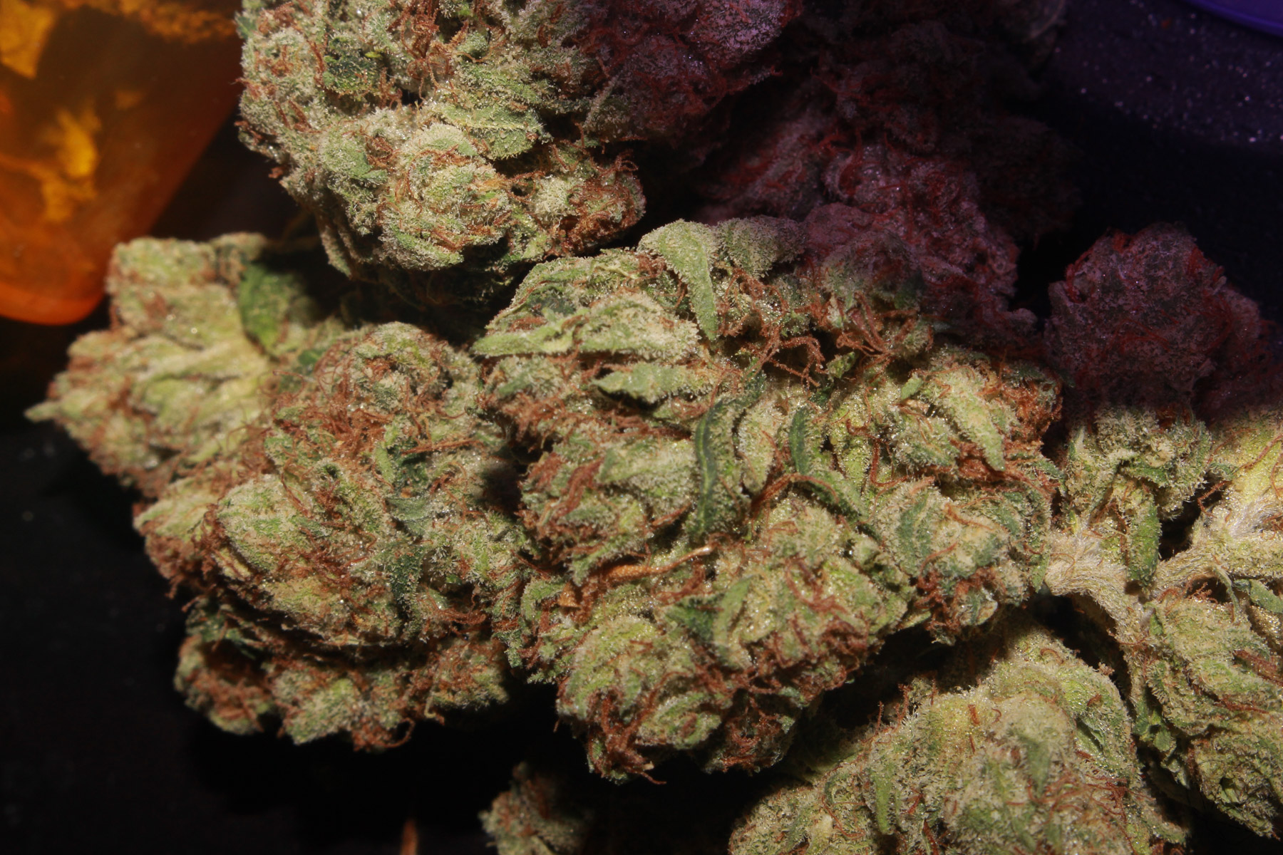 Guide to Alaska's Recreational Cannabis