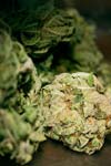 Blue monster weed marijuana
