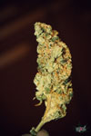 Stoner pipe smoking