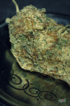Stoner pipe smoking