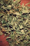 Lovely weed marijuana